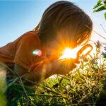 Read more about the article How to Use Nature to Foster Learning