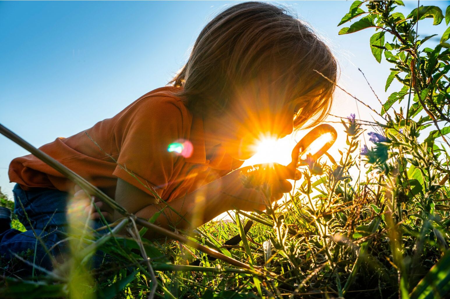 You are currently viewing How to Use Nature to Foster Learning