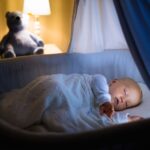 Read more about the article How to Help Your Baby Sleep Through the Night