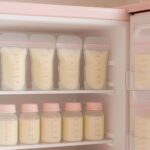 Read more about the article Storing and Preparing Breast Milk: A Guide for Busy Moms